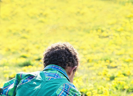 위기는 위선에서 온다