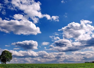 기회는 회개에서 온다