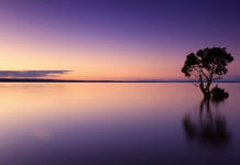 참을 수 있는 존재의 가벼움