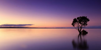 참을 수 있는 존재의 가벼움
