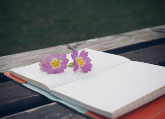 죽기 전에 하는 선택