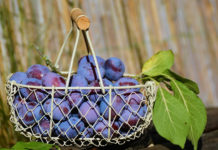 ‘틀리다’를 ‘다르다’로