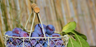 ‘틀리다’를 ‘다르다’로