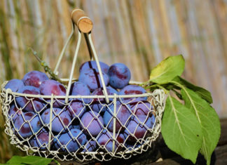 ‘틀리다’를 ‘다르다’로