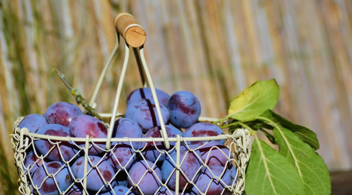 ‘틀리다’를 ‘다르다’로