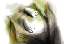 한 울타리 두 친구