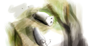 한 울타리 두 친구