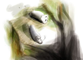 한 울타리 두 친구