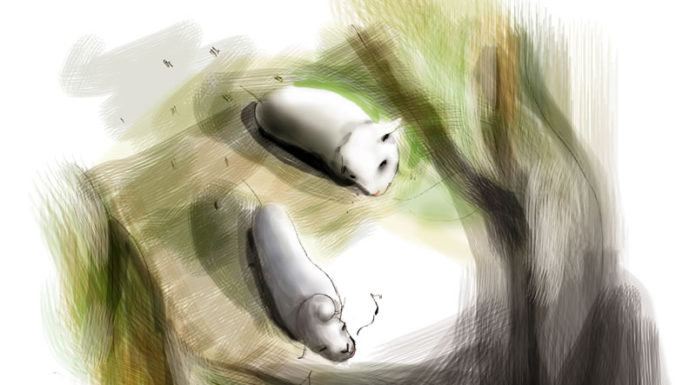 한 울타리 두 친구