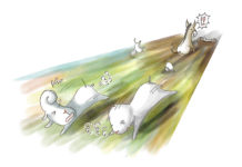 말하는 나귀가 나타나는 날