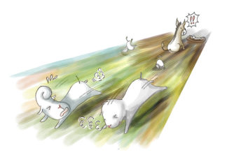 말하는 나귀가 나타나는 날