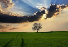 하나님 만드신 세상