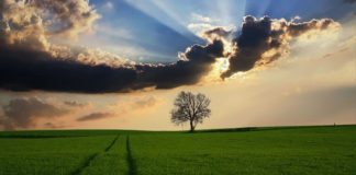 하나님 만드신 세상