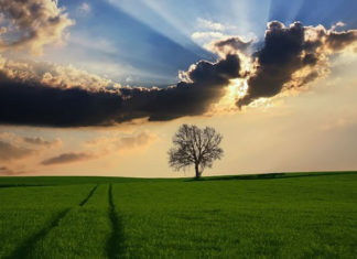 하나님 만드신 세상