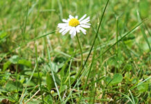 하나님의 공의가 절실히 필요할 때