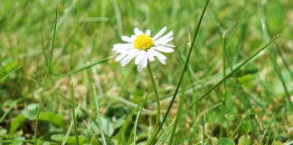 하나님의 공의가 절실히 필요할 때