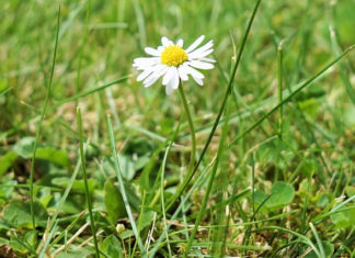 하나님의 공의가 절실히 필요할 때