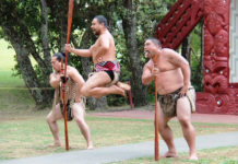 유럽인과 마오리가 함께 예배했던 첫 마음 잊지 말아야