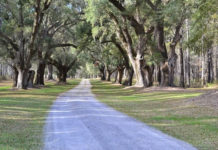 그냥 걷는 길은 없는 거야