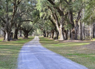 그냥 걷는 길은 없는 거야