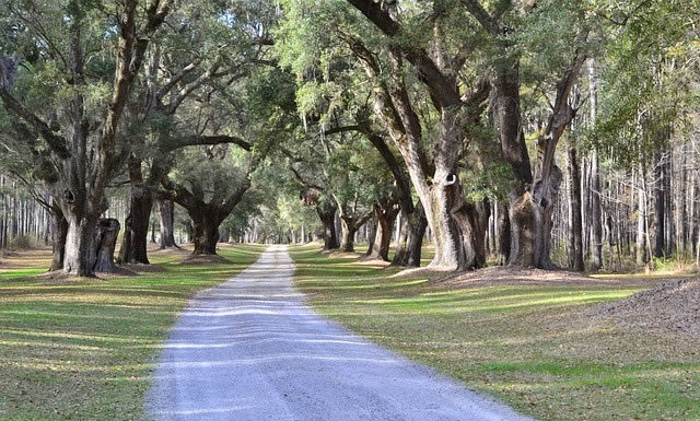 그냥 걷는 길은 없는 거야