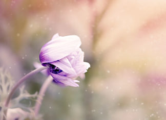 변화산에서 있었던 일