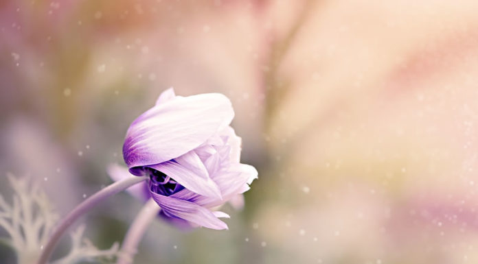 변화산에서 있었던 일