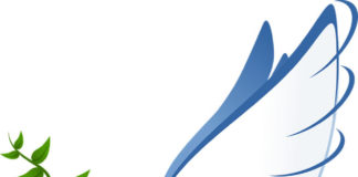 목회, 하나님의 뜻이냐? 목사의 뜻이냐?