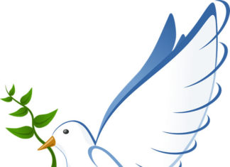 목회, 하나님의 뜻이냐? 목사의 뜻이냐?