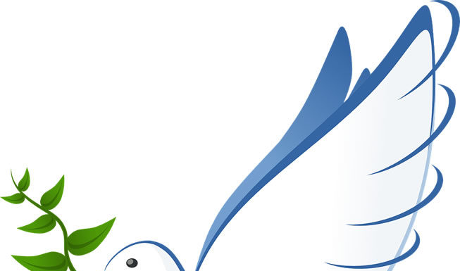 목회, 하나님의 뜻이냐? 목사의 뜻이냐?