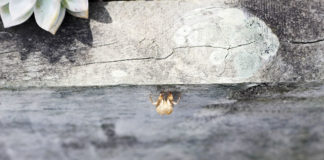 부활절을 맞이하며