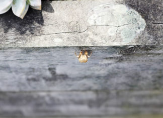 부활절을 맞이하며