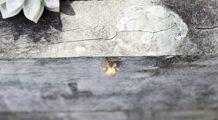 부활절을 맞이하며