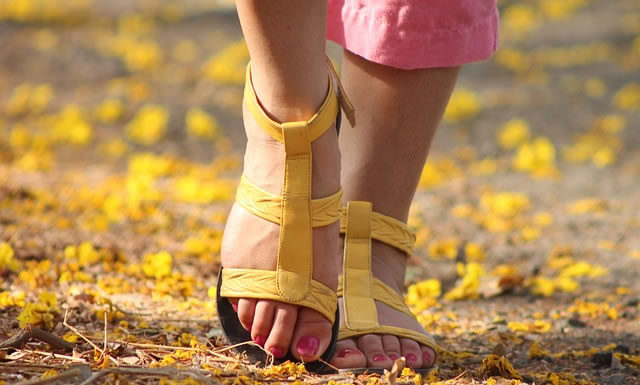 절제 운동을 하는 여성들