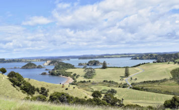 베이 오브 아일랜드를 가다
