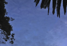 그곳에 가고 싶다, 오클랜드-해밀턴