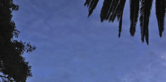 그곳에 가고 싶다, 오클랜드-해밀턴