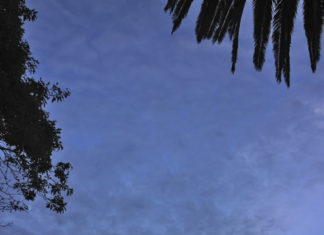 그곳에 가고 싶다, 오클랜드-해밀턴