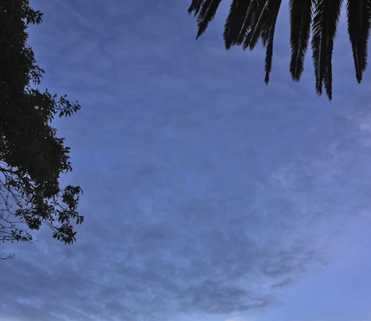 그곳에 가고 싶다, 오클랜드-해밀턴