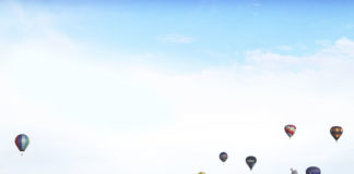 오클랜드에서 해밀턴까지