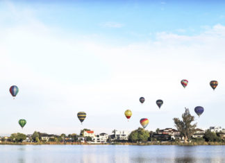 오클랜드에서 해밀턴까지