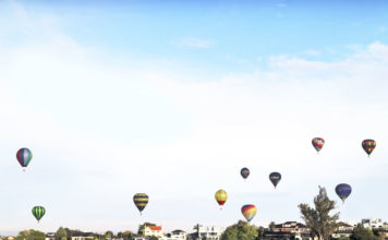 오클랜드에서 해밀턴까지