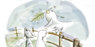 성령을 받은 비둘기