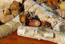 초기 선교사의 희생은 복음의 귀한 밑거름이 돼