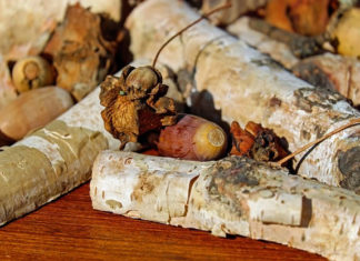 초기 선교사의 희생은 복음의 귀한 밑거름이 돼