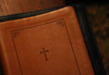 다리 몽둥이 부러지던 날