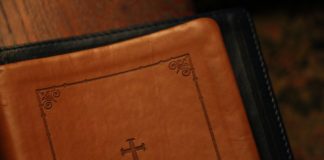 다리 몽둥이 부러지던 날