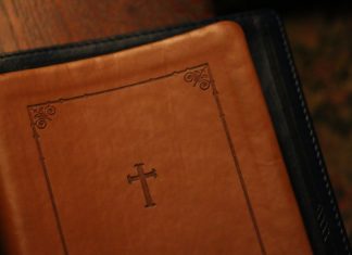 다리 몽둥이 부러지던 날