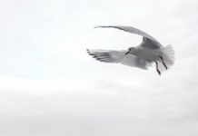 “ 태초에∙∙∙”