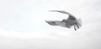 “ 태초에∙∙∙”